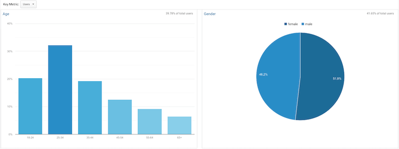 google analytics demographics