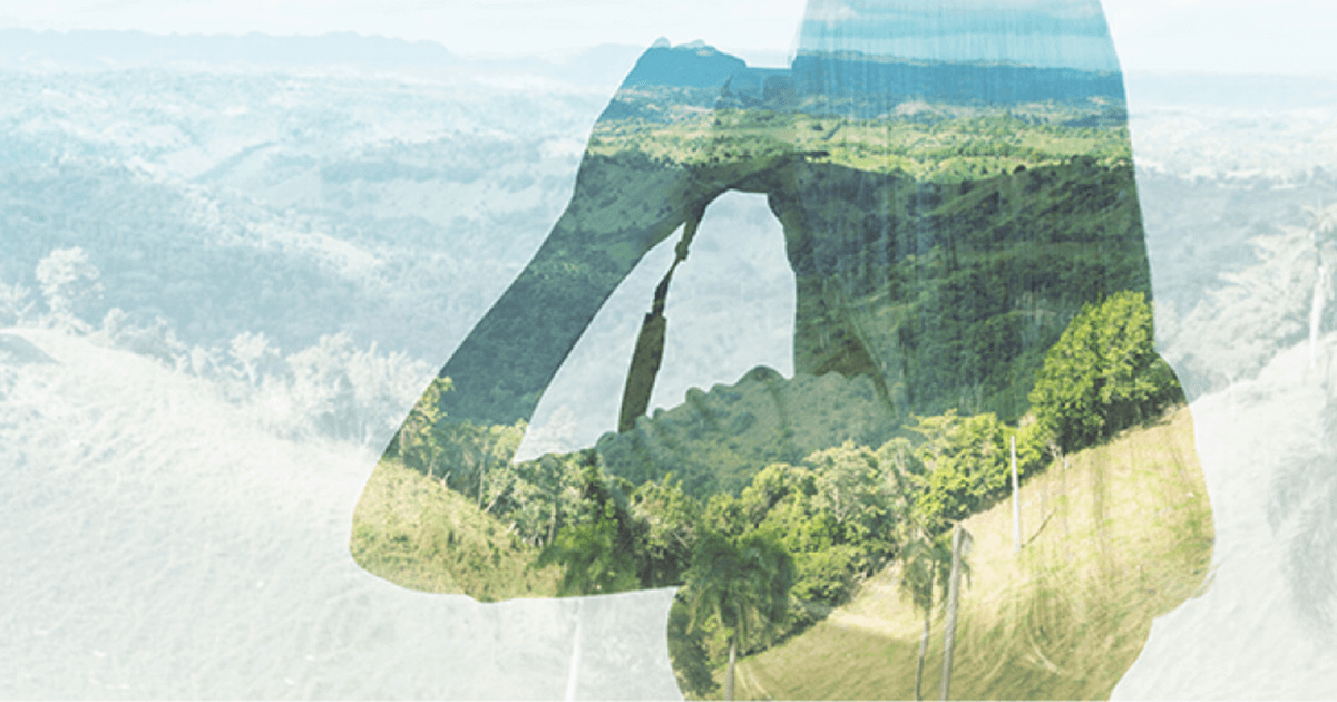 Benefits of Using Online Travel Agencies