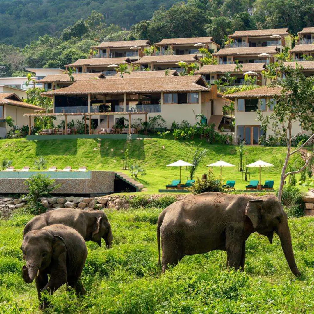 Wild Cottages Elephant Sanctuary Resort